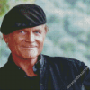 Terence Hill Diamond Paintings