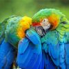Two Parrots In Jungle Green With Blue Diamond Paintings