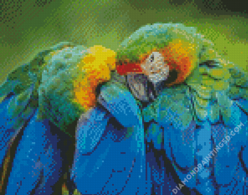 Two Parrots In Jungle Green With Blue Diamond Paintings