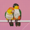 Caique Birds Couple Diamond Paintings