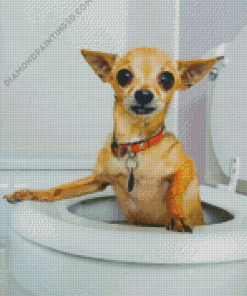 Dog Animal In Toilet Diamond Paintings