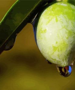 Green Olive With Water Drop Diamond Paintings