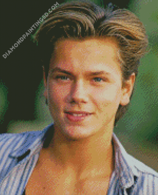 Handsome River Phoenix Diamond Paintings