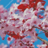 Japanese Cherry Blossom Bush Diamond Paintings