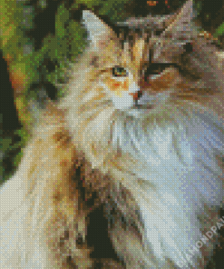 Norwegian Forest Cat Illustration Diamond Paintings