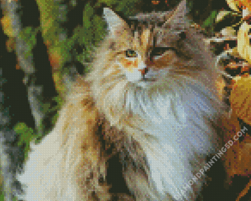 Norwegian Forest Cat Illustration Diamond Paintings