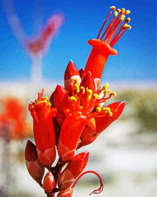 Orange Ocotillo Flowers Diamond Paintings