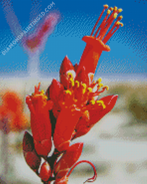 Orange Ocotillo Flowers Diamond Paintings