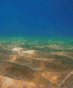 Sandy Bottom Ocean Diamond Paintings