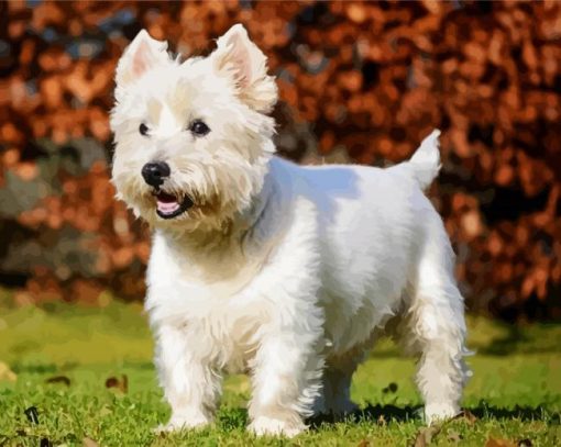 West Highland Terrier Puppy Diamond Paintings