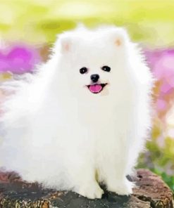 White Pomeranian Dog Diamond Paintings