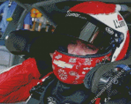 Alex Bowman Wearing Helmet Diamond Paintings