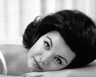 Annette Funicello Diamond Paintings