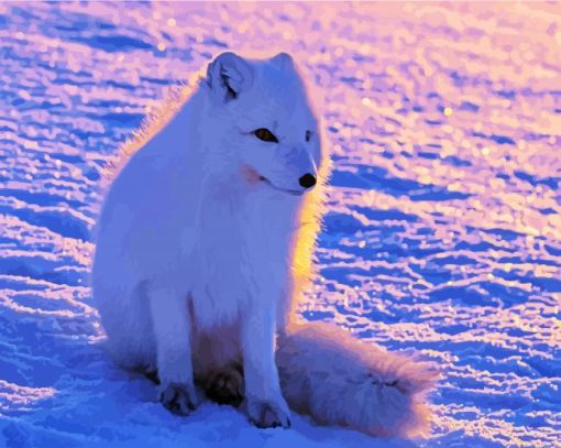 Arctic Fox In Snow Diamond Paintings