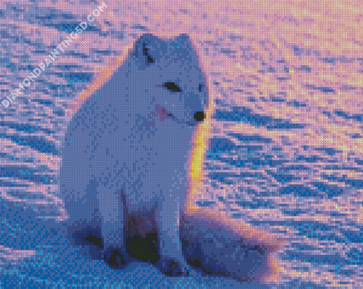 Arctic Fox In Snow Diamond Paintings