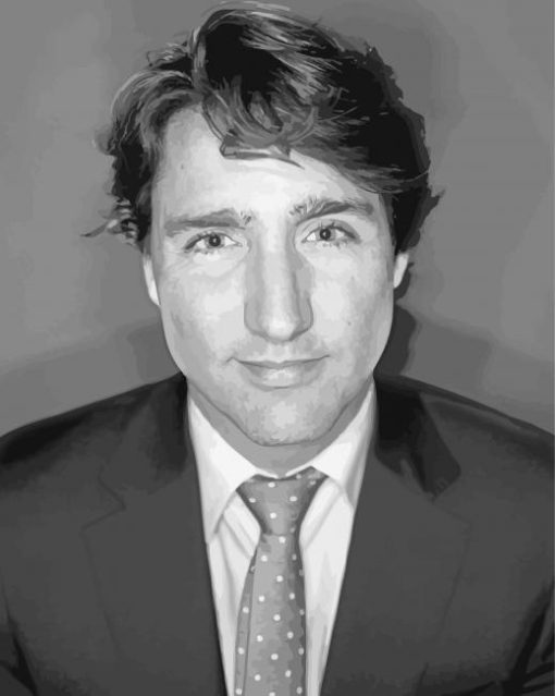 Black And White Justin Trudeau Diamond Paintings