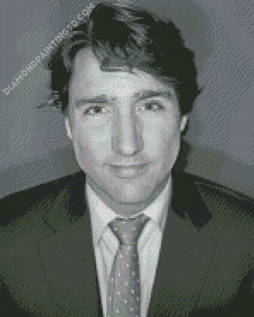 Black And White Justin Trudeau Diamond Paintings