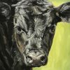 Black Cow Illustration Diamond Paintings