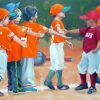 Boys Playing Baseball Diamond Paintings