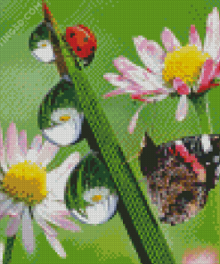 Butterfly And Ladybug On Flower Diamond Paintings