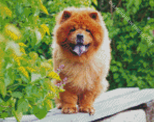 Chow Chow Puppy Diamond Paintings