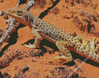 Desert Gecko Reptile Diamond Paintings