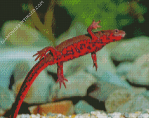 Fire Belly Newt Diamond Paintings