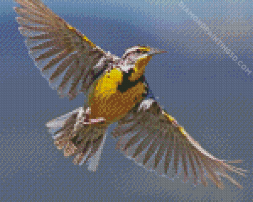 Flying Western Meadowlark Diamond Paintings
