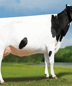 Holstein Cow Animal Diamond Paintings