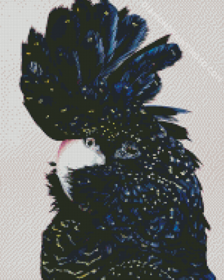 Red Tailed Black Cockatoo Diamond Paintings