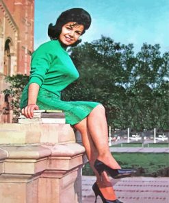 The American Annette Funicello Diamond Paintings
