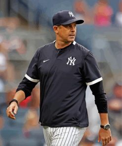 The Baseball Manager Aaron Boone Diamond Paintings