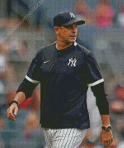 The Baseball Manager Aaron Boone Diamond Paintings