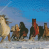 Winter Horses Animals Diamond Paintings