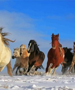 Winter Horses Animals Diamond Paintings