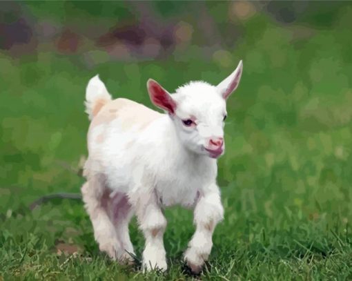 Cute White Goat Animal Diamond Paintings