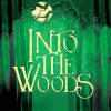 Into The Woods Poster Art Diamond Paintings