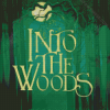 Into The Woods Poster Art Diamond Paintings