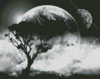 Moon And Trees Black And White Diamond Paintings