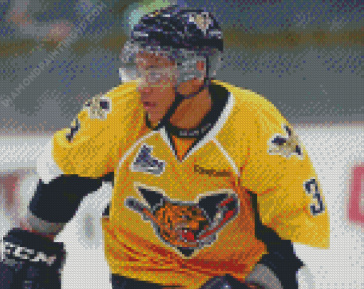 Nashville Predators Ice Hockey Sport Player Diamond Paintings