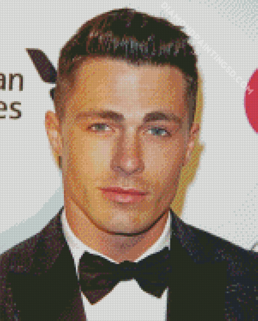 The Actor Colton Haynes Diamond Paintings