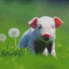 White Cute Pig Diamond Paintings