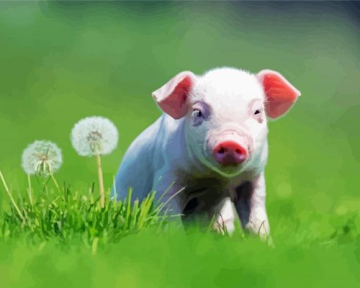 White Cute Pig Diamond Paintings