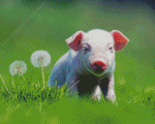 White Cute Pig Diamond Paintings