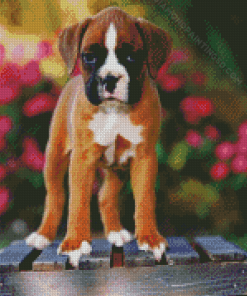 Boxer Puppy Diamond Paintings