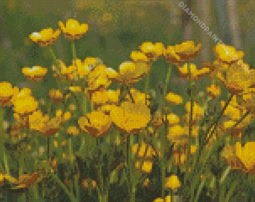 Buttercup Field Diamond Paintings