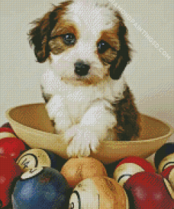 Cavachon Dog In Bowl Diamond Paintings