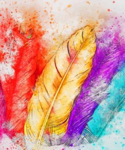 Colorful Feathers Diamond Paintings