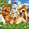Cute Kittens And Puppies Diamond Paintings