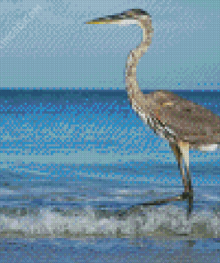 Grey Heron On Beach Diamond Paintings